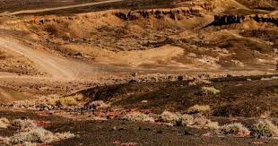 [CBA]杰克逊29分 宁波队史首次取得4连胜